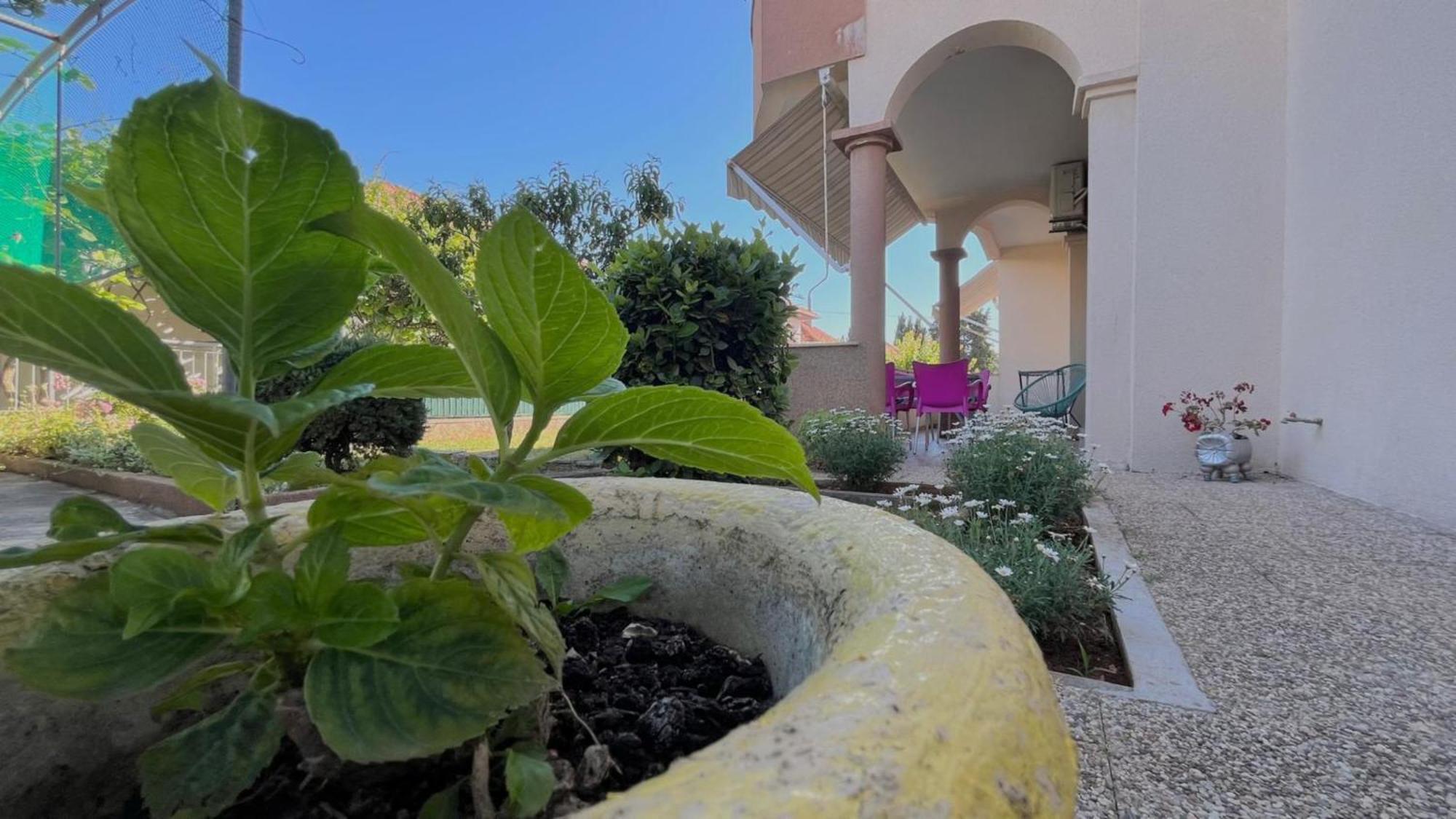 Apartament Rotim Zadar